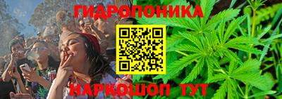 круглые Бердск