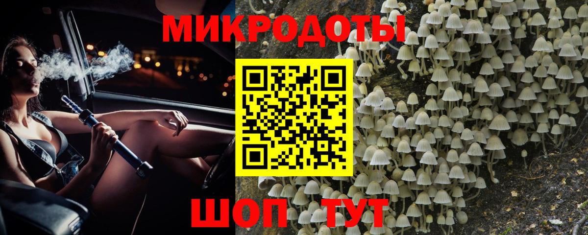 Псилоцибиновые грибы мицелий Выборг