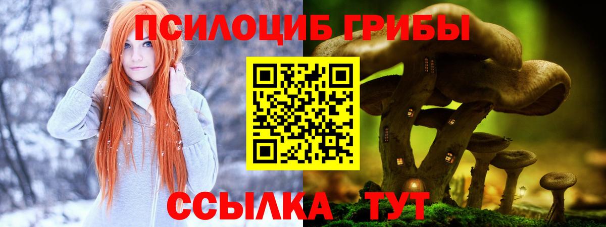 Выборг  купить наркоту  Вход с VPN  Галлюциногенные грибы ЛСД 